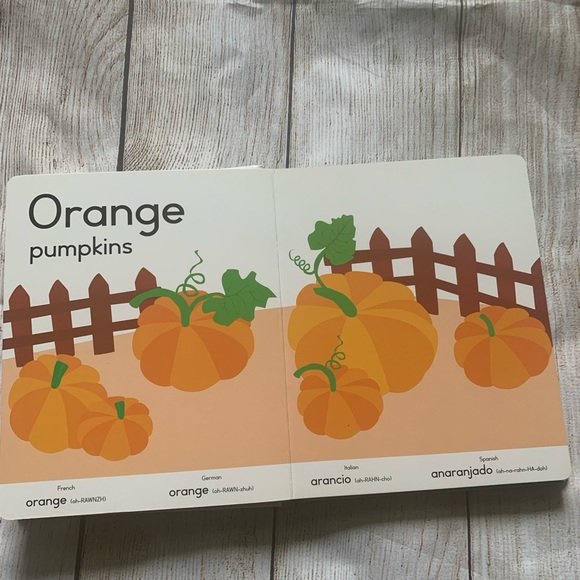 GYMBOREE Early Learning Library - Picture 4 of 6